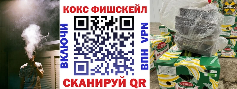 COCAIN FishScale  МЕГА маркетплейс  Полесск  цены наркотик 