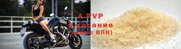 прущие грибы Белоозёрский