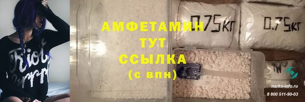гашик Белокуриха