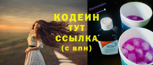гашик Белокуриха