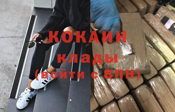 гашик Белокуриха