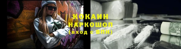 гашик Белокуриха