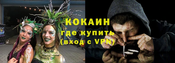 гашик Белокуриха