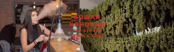 прущие грибы Белоозёрский