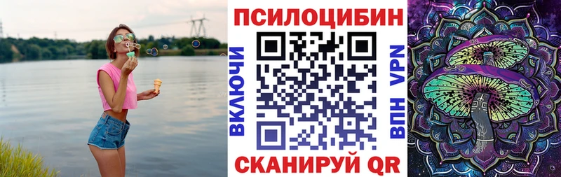 MEGA ссылка  Полесск  Галлюциногенные грибы GOLDEN TEACHER  как найти закладки 